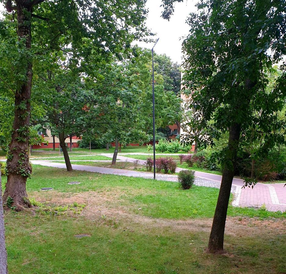 Best Choice 2-Bedroom Apartment Płock Eksteriør bilde